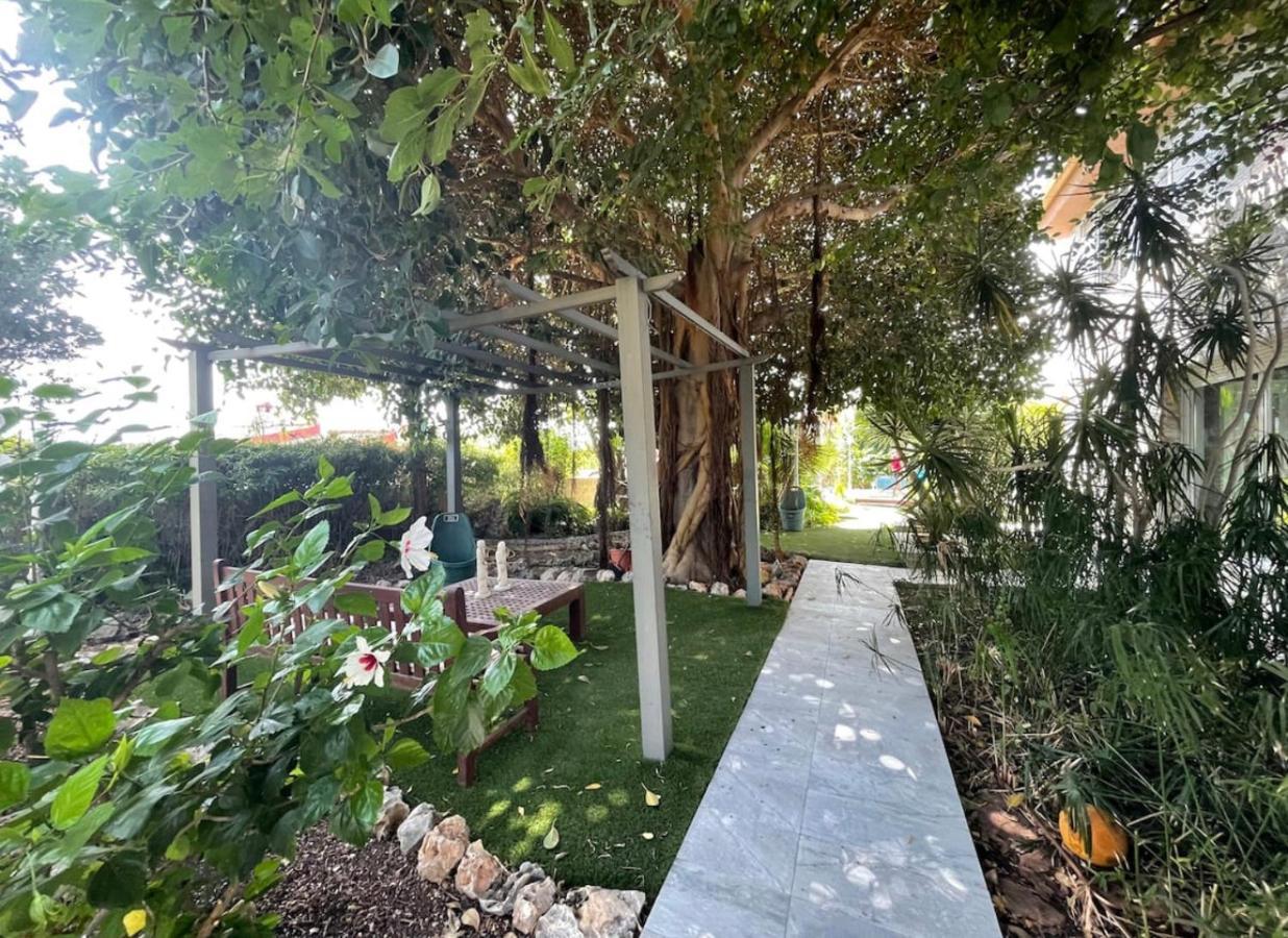 San Vicente Raspeig Habitacion Agregada, Suite Frente A La Piscina 2 P Habitacion No Casa Completa מראה חיצוני תמונה
